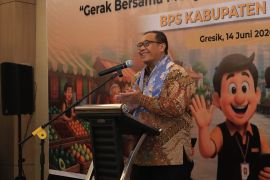 Sekda Gresik: Sensus Ekonomi jadi dasar pemetaan potensi investasi daerah