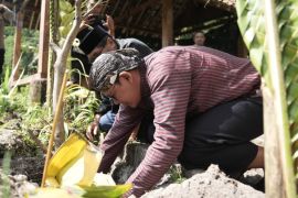 Wabup Sleman menanam beringin putih mengawali "Lampah Dalu Lereng Merapi"