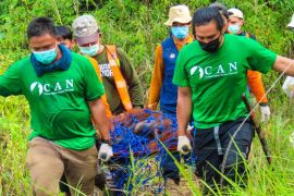 Preservasi, langkah baru konservasi orangutan di Lanskap Keraitan Kalimantan