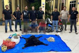 Polres Simalungun ungkap jaringan perdagangan satwa dilindungi, tiga pelaku dibekuk