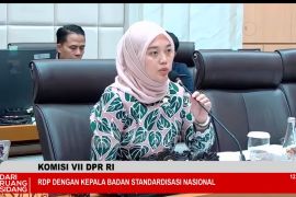 Komisi VII minta BSN prioritaskan pengembangan pelaku UMKM