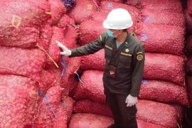 Sertifikasi karantina perkuat daya saing bawang merah
