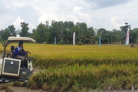 Korem Gapo programkan kembali cetak sawah rakyat di kabupaten Sumsel