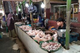 Pasokan banyak, harga daging ayam di Mataram turun