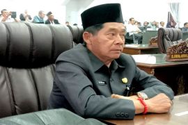 Legislator Barut apresiasi kunjungan PKK ke perajin rotan Tambaba