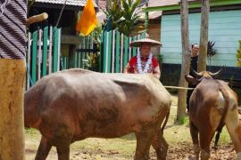 Tiwah dan Mamapas Lewu disiapkan jadi agenda budaya tahunan Kotim