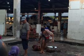 Distan: RPH Majeluk Mataram kembali beroperasi