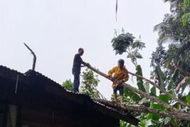 13 rumah rusak akibat cuaca ekstrem di Sumut