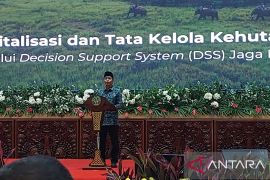 Menhut luncurkan DSS Jaga Rimba permudah tata kelola hutan