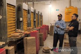 Pemkab Nabire atur pasokan telur dari luar untuk jaga produksi lokal