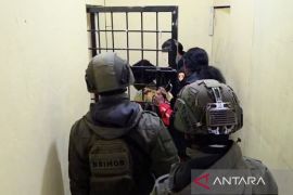 Satgas ODC tangkap anggota KKB Kodap Ilaga yang tewaskan karyawan Freeport