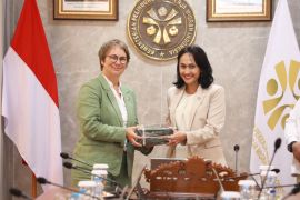 Indonesia-Jerman bahas perluasan penempatan PMI di sektor baru