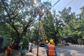 PLN copot kabel di Jalan Lauser Jaksel imbas kecelakaan siswi SMAN 6