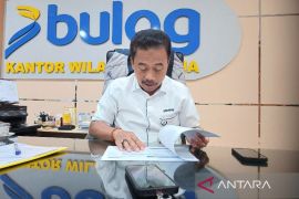 Bulog Papua salurkan 15 ton beras premium ke ritel di Jayapura