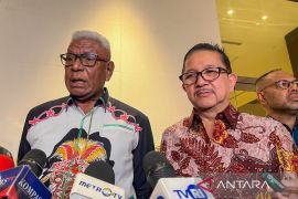DPR sebut keberlanjutan investasi Freeport mendorong pembangunan Papua