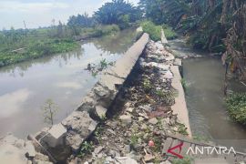 Petani di Karawang khawatirkan sulit air akibat saluran irigasi rusak