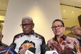 Smelter Freeport ditargetkan mulai berproduksi September 2026