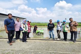 Pemkot Pekalongan-BI tingkatkan SDM petani untuk memperkuat ketahanan pangan
