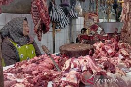 Harga daging sapi di Temanggung merangkak naik