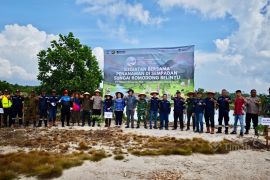 PT Timah tanam ratusan pohon di Sungai Romodong