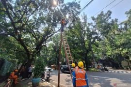 Camat belum ketahui pemilik kabel yang sebabkan siswi SMAN 6 tewas