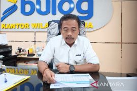 Bulog sebut penyaluran bantuan pangan di Tanah Papua capai 95 persen