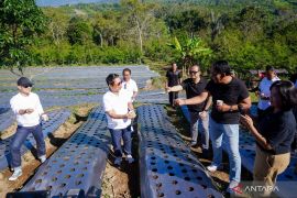 Badung maksimalkan Agro Techno Park guna tingkatkan pertanian dan perkebunan