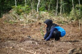 Pemerintah, KI dan SRI dukung restorasi oleh masyarakat di Batang Toru
