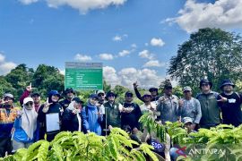 Kemenhut integrasikan Rehabilitasi Hutan dengan Gerakan Indonesia Asri
