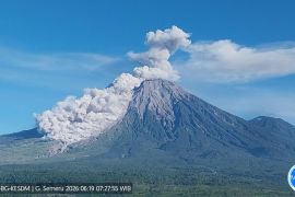 Gunung Semeru erupsi disertai awan panas guguran pada Jumat pagi