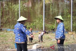 Lapas Piru Maluku kembangkan budidaya ikan air tawar untuk pembinaan