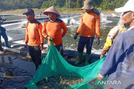 Ketahanan pangan dan jalan pulang warga binaan Lapas Nusakambangan