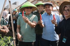 Kabupaten Bandung siapkan penguatan modal KDKMP guna dukung ketahanan pangan