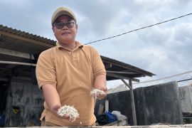 Perajin ikan asin Lampung Selatan jaga kualitas produk demi perluas pasar