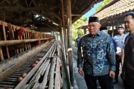 Anggota DPR RI tinjau peternak ayam petelur Sidoarjo