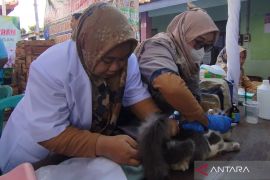 Pemkab Demak vaksinasi rabies gratis untuk hewan peliharaan