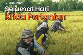 Firman Yusi apresiasi para pejuang pangan Kalsel