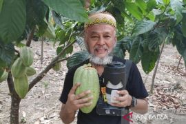 Emas cokelat, modal baru diversifikasi ekonomi berkelanjutan Kutai Timur
