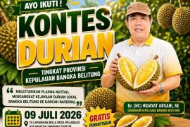 Babel gelar kontes durian lokal guna angkat ke tingkat nasional