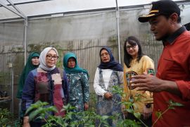 Menteri PPA Arifah Fauzi apresiasi pengelolaan P2L di Kediri
