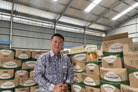 Bulog Lampung Selatan jamin ketersediaan MinyaKita untuk masyarakat
