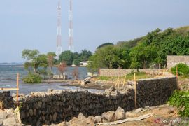 DLH Situbondo beri sanksi pengusaha diduga rusak kawasan mangrove
