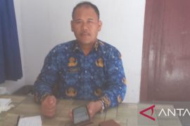 Dinpanpertan Bangka pastikan petani ladang pakai padi varietas unggul