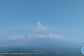 Semeru erupsi dengan tinggi letusan capai 1.000 meter di atas puncak