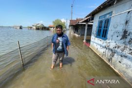 Pemkab Pati-Pemprov Jateng percepat penanganan rob melanda Desa Tunggulsari