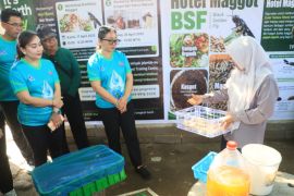 Pemkot Denpasar maksimalkan budi daya maggot untuk kelola sampah dan dorong ekonomi