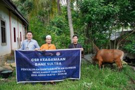 Bank Sultra Salurkan CSR 23 Ekor Sapi Kurban ke Seluruh Wilayah Sulawesi Tenggara