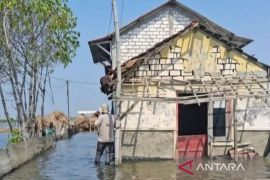BPBD Pati menyiapkan tempat pengungsian warga terdampak rob di Tayu
