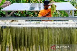 Disperindag Kutim identifikasi peluang daun nanas untuk industri tekstil di Jabar