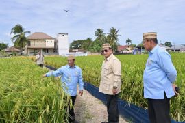 Prabowo sees Indonesia emerging as global food power